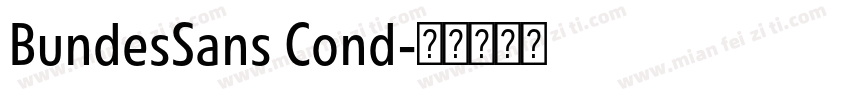 BundesSans Cond字体转换